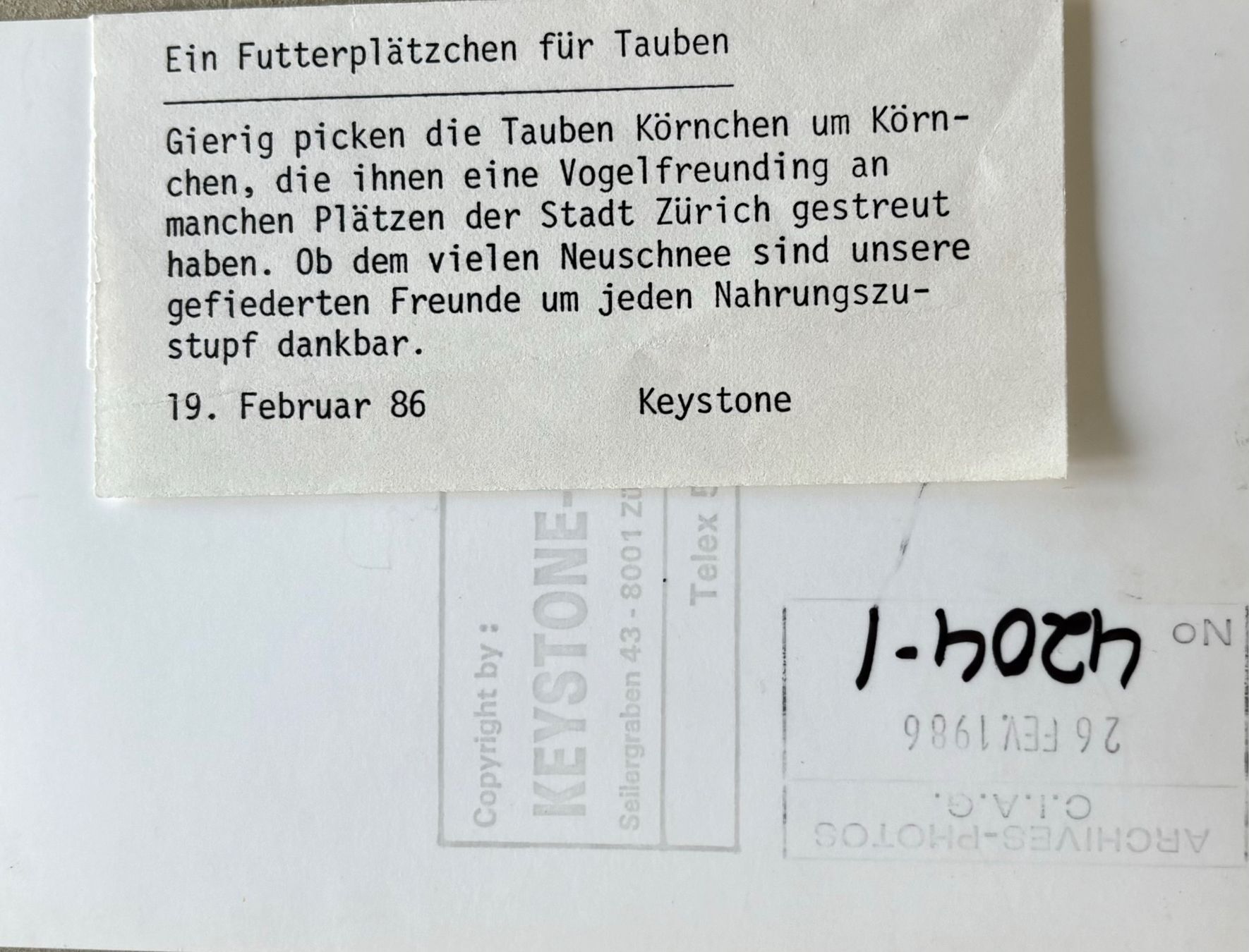 Cartes postales: Tauben  - Pressefoto – D'occasion à Frauenfeld par Merk52 1