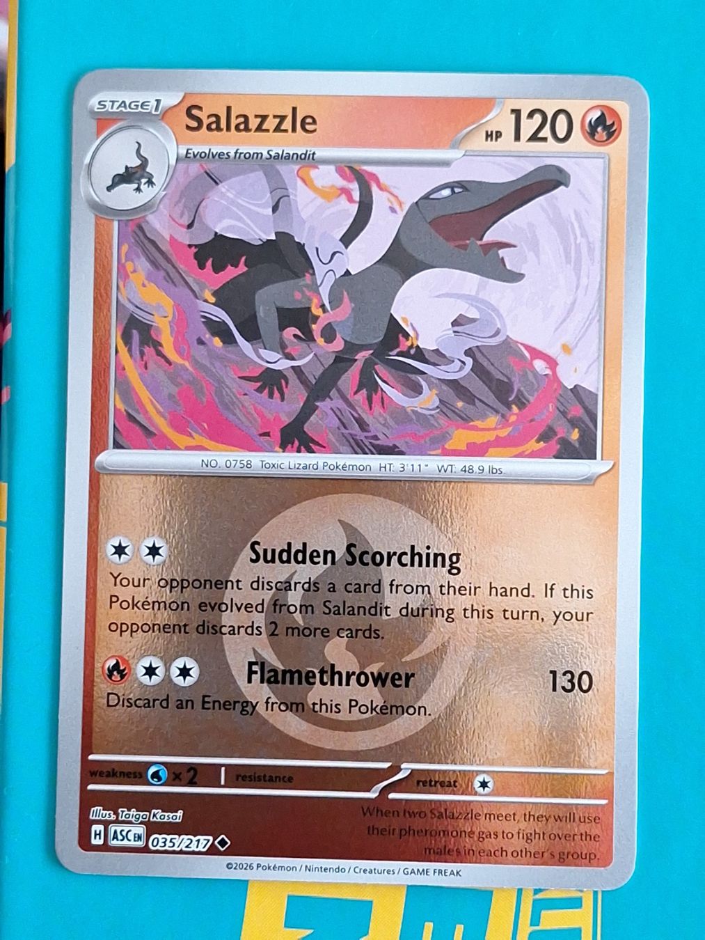Pokémon Carte collezionabili: Salazzle - Reverse Holo Energy - Ascended Heroes – Usato da Altstätten SG venduto da GGsGameshop