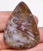 Cabochon L-2025 – Palmenwurzel Achat 39x30x6mm - 50 Ct.
