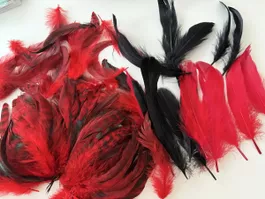 Deko Federn rot schwarz Set für Bastelarbeiten neu