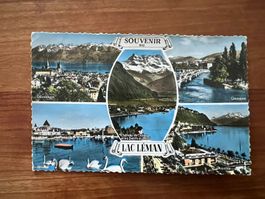 AK  1960  Lac Leman   (G2118)