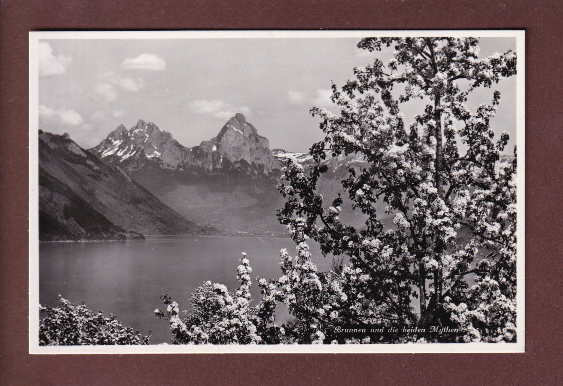Cartoline postali: BRUNNEN - Frühling - Mythen – Usato da Pully venduto da nicecards