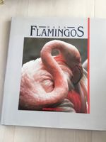 Grosses schönes Buch über Flamingos, neu