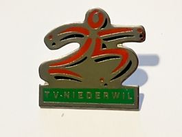 1 Pin TV Niederwil