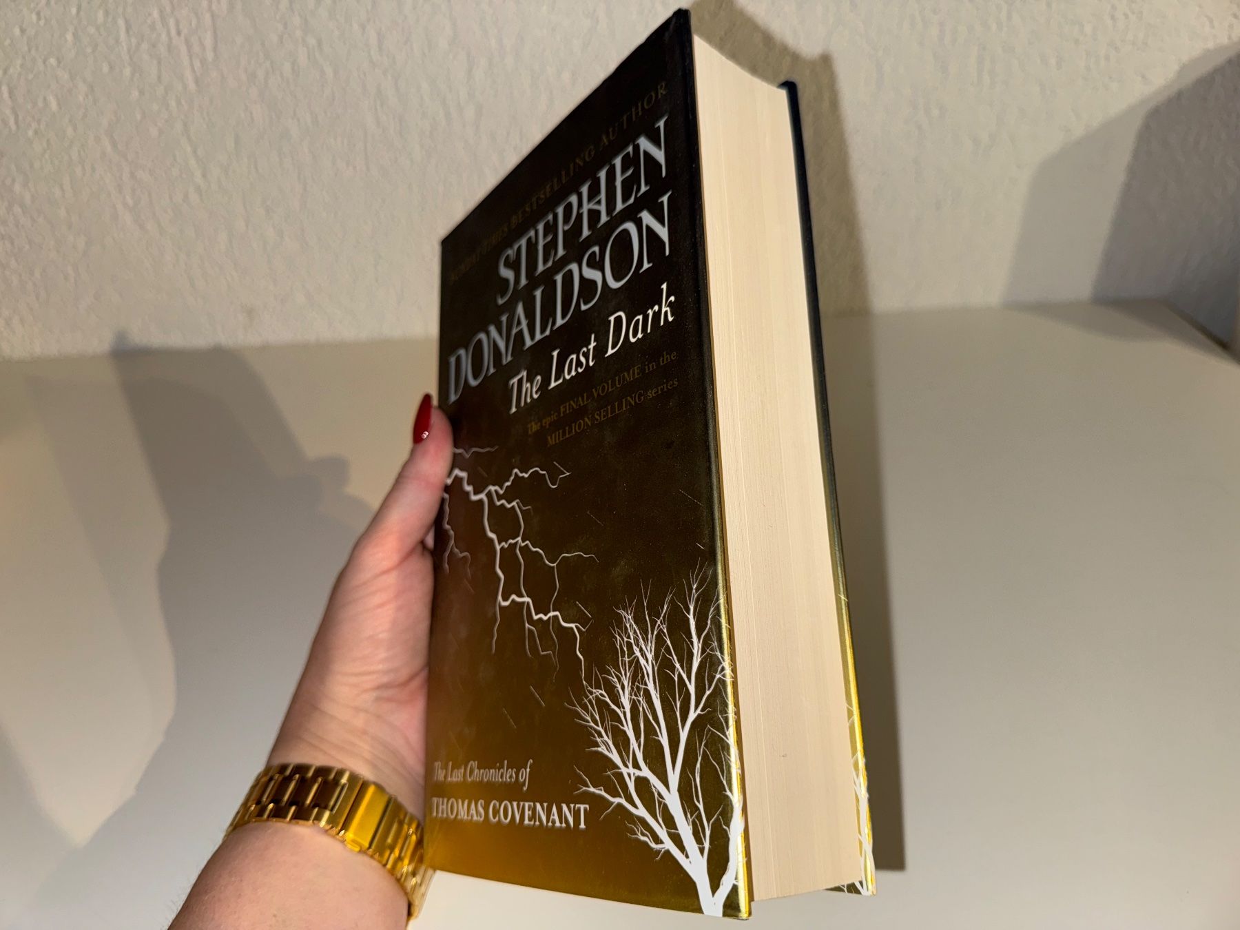Libri: NOVEL: Stephen Donaldson, The last dark – Usato da Grosswangen venduto da English_books 1