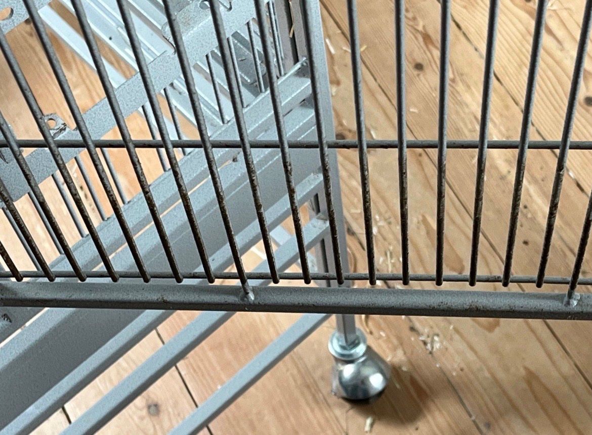 Gabbie, trasporto & Sicurezza: Degu-Käfig oder Papageien-Käfig Hacienda Dome – Usato da Küttigen venduto da Shmirill 1
