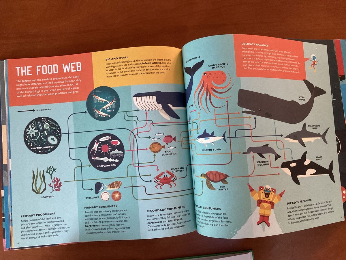 Libri: 3 great books for great boys – Usato da Winterthur venduto da niemim 3