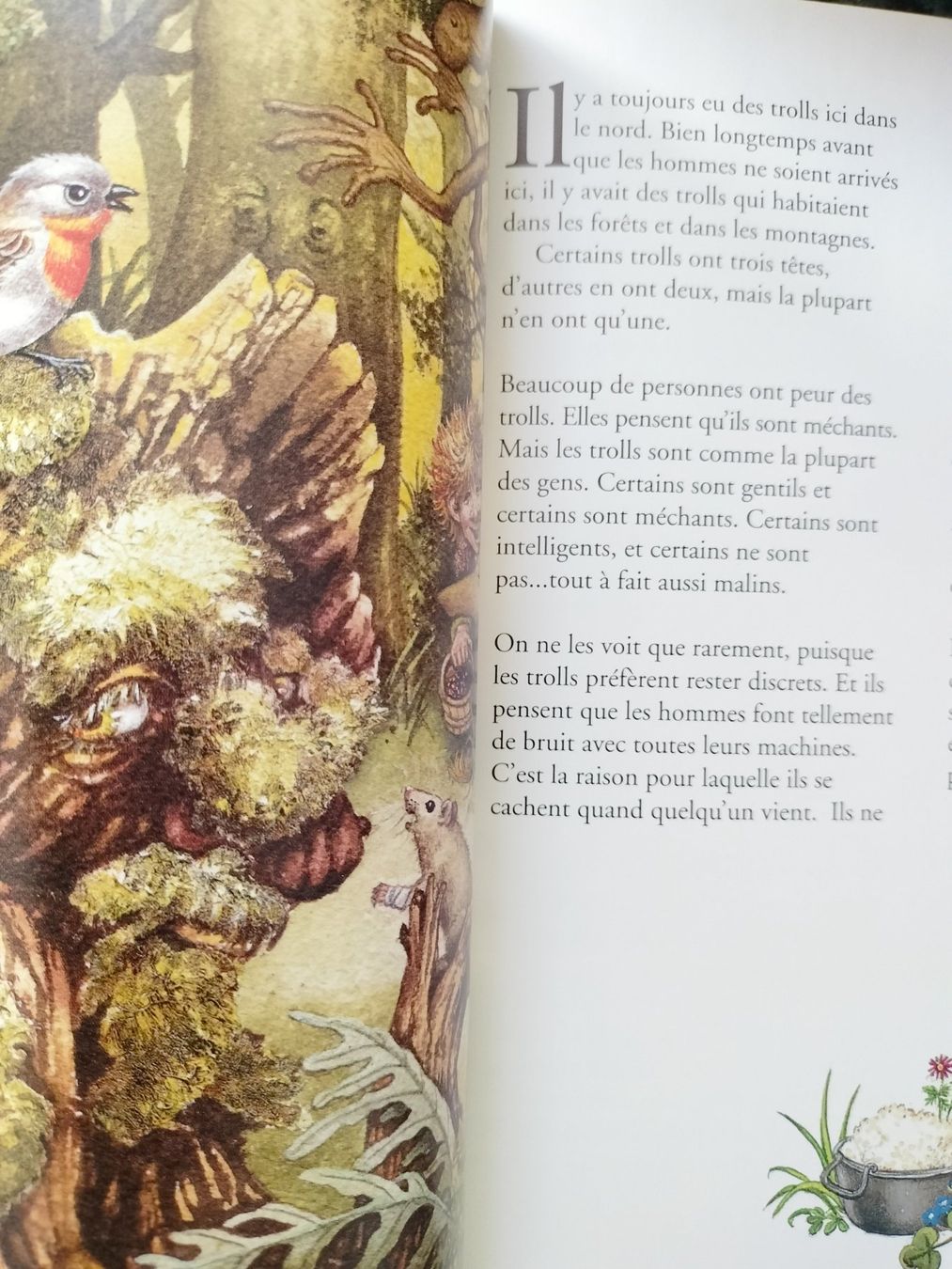 Livres: Petit Troll Tor Age Bringsvaerd – D'occasion à Cortaillod par rozinna 2