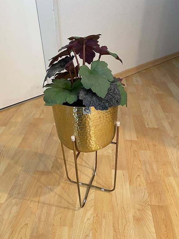 Ikea Tutte le decorazioni: IKEA FEJKA & VINDFLÄKT (handmade) – Usato da Allenwinden venduto da guetzli20
