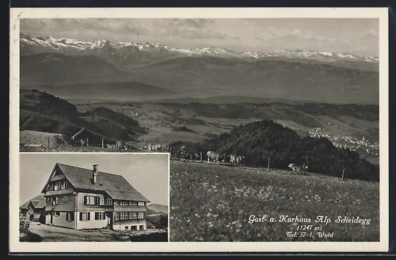 Cartoline postali: Scheidegg, Gast-und Kurhaus Alp, Blick a – Usato da Berlin venduto da bartko-reher
