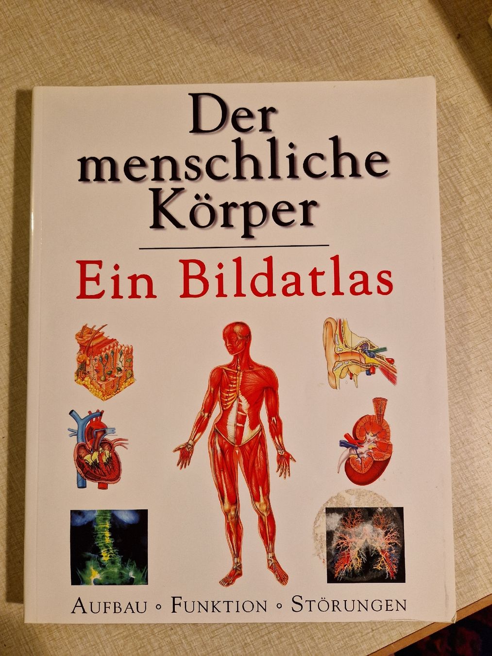 Libri: Der menschliche Körper Bildatlas – Usato da Zürich venduto da hogerseppvreni
