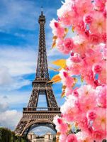 Diamond Painting Eiffelturm 40cm x 50cm