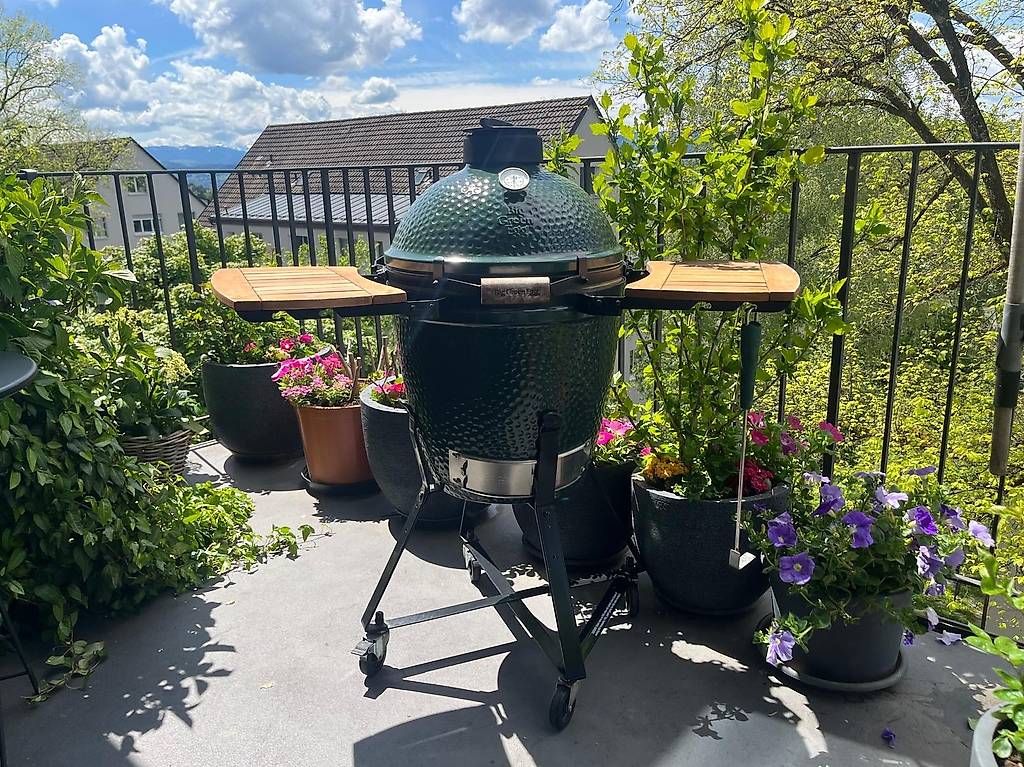 Griglie: Big Green Egg – Usato da Zürich venduto da agataB01