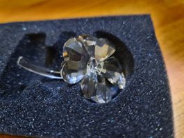 Swarovski Figur Glücksklee Originalverpackt 