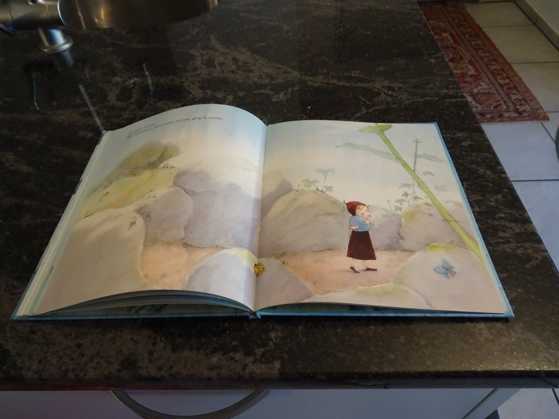 Bücher: Bilderbuch Der Blaue Stein Schöne Bilder / – Gebraucht aus Zürich von Roulet 6