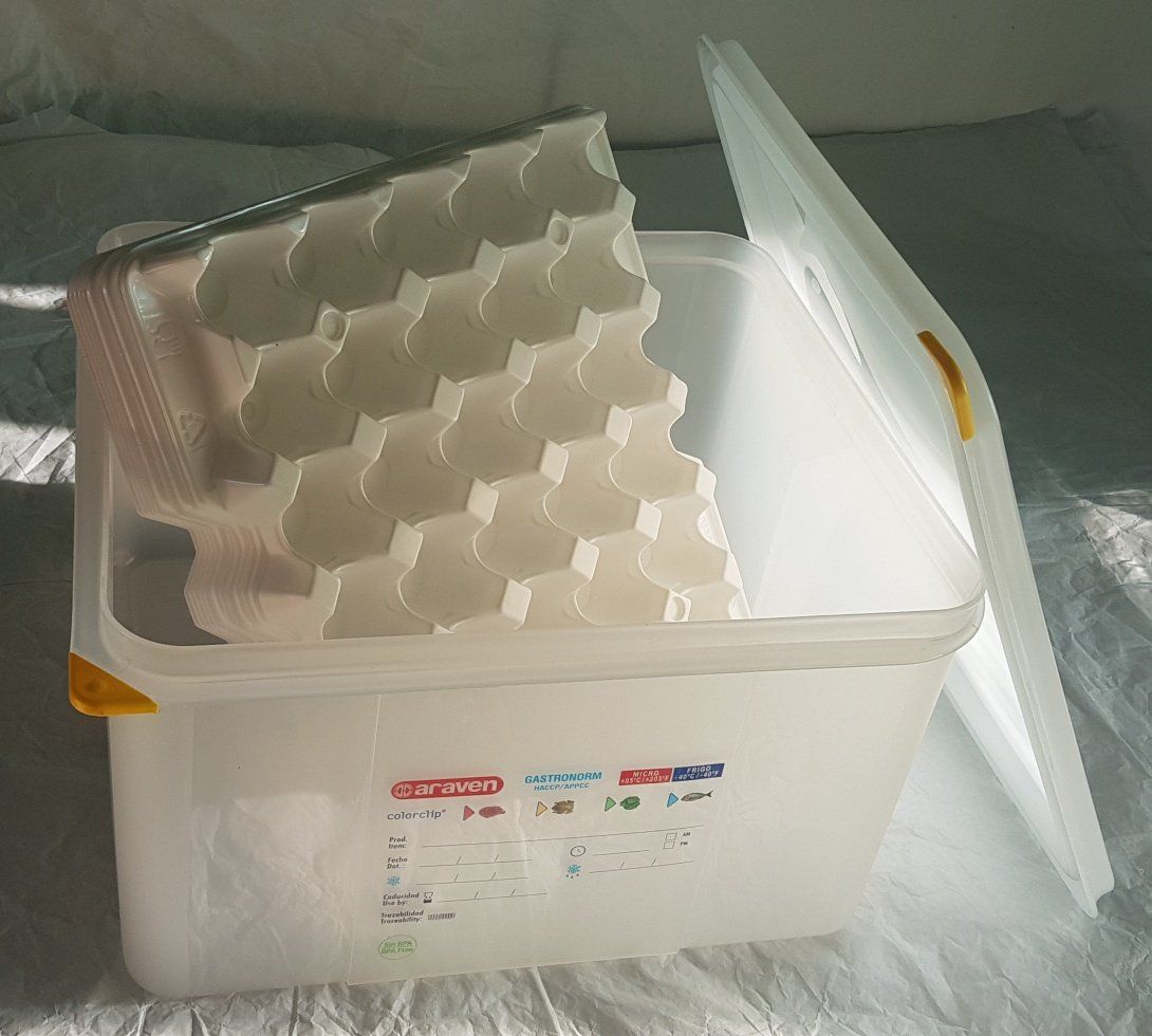 Behälter & Ähnliches: Eierbox  HACCP in Polypropylen – Neu (gemäss Beschreibung) aus Figino von mayam63 1