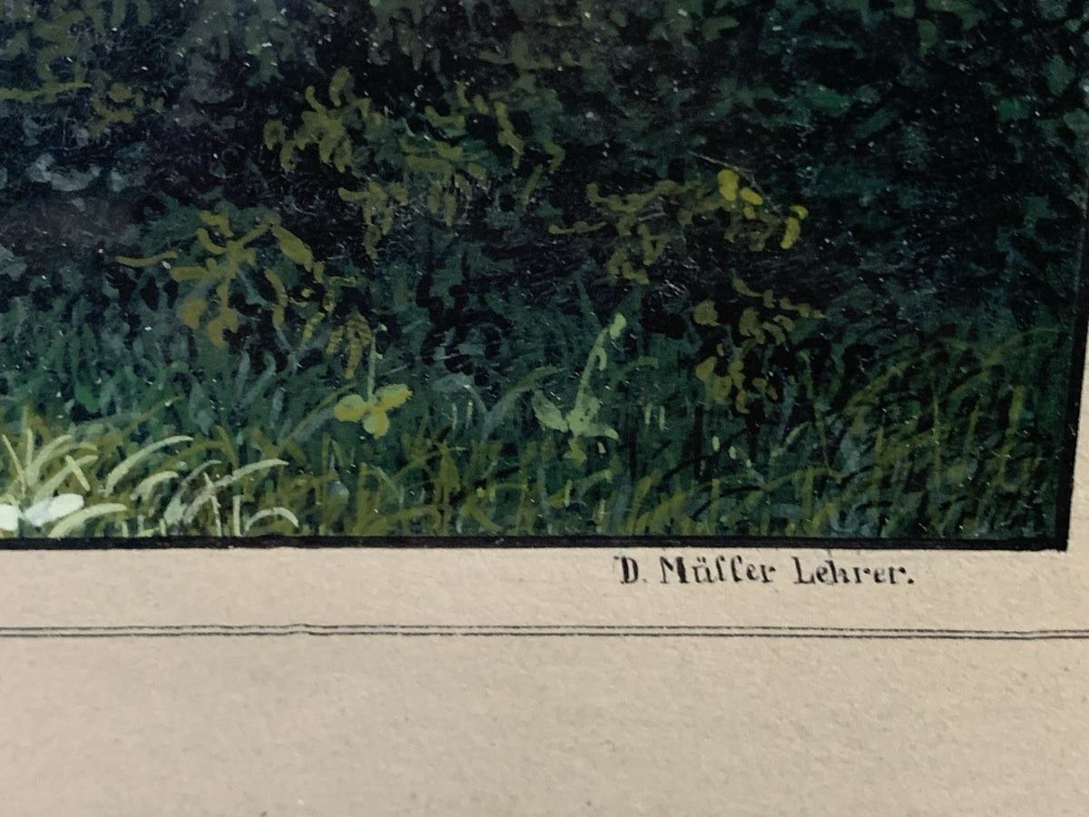 Dipinti: Tägerwilen D. Müller Lehrer Gouache – Usato da Wolfhalden venduto da SecondAntique 7