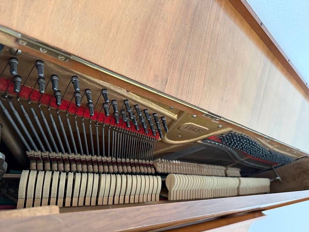 Strumenti musicali: Klavier W.Bach & Co. Berlin – Usato da Aesch BL venduto da Shiva84 2