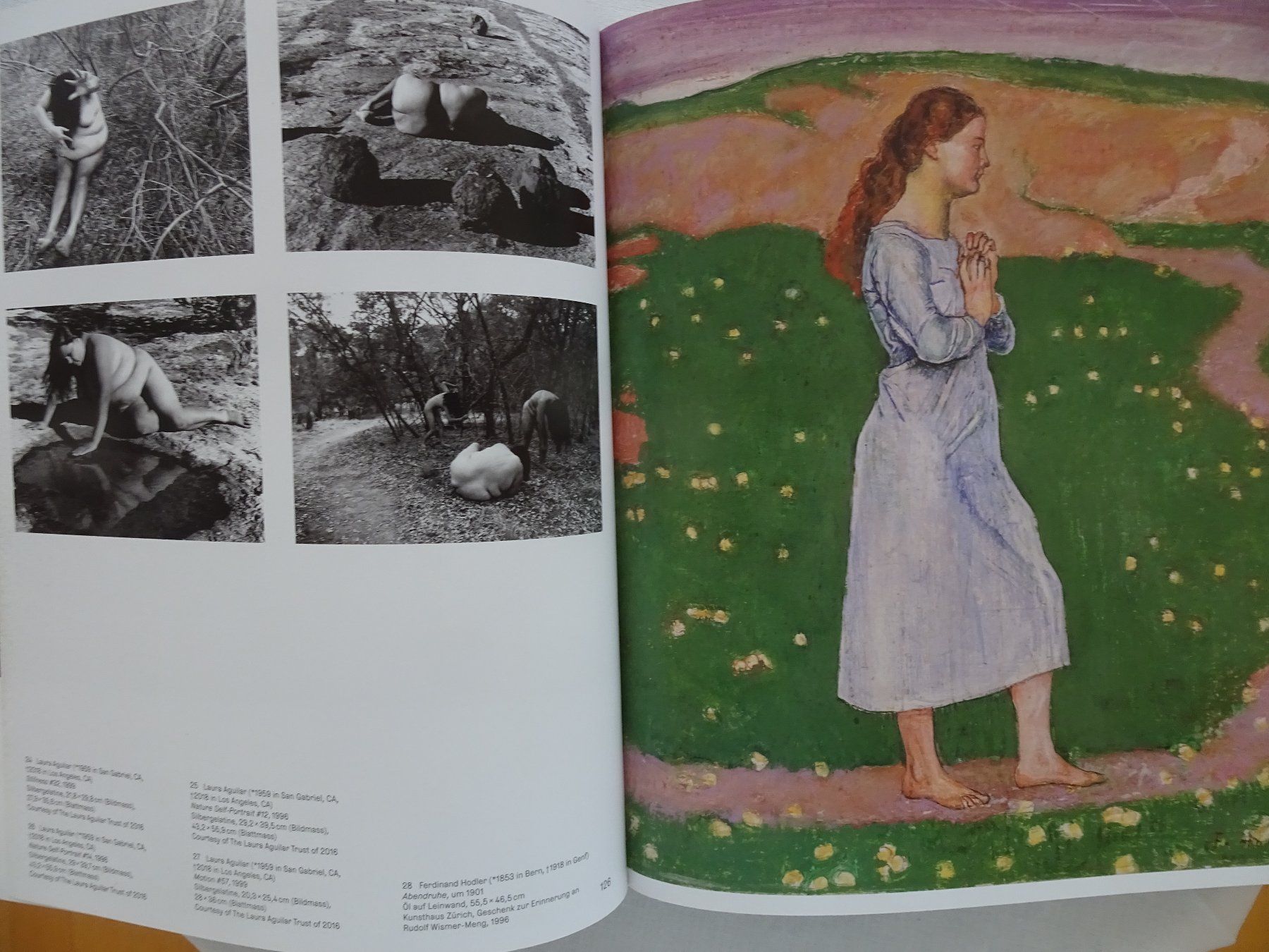 Libri: Hodler - Aktuelle Blicke auf eine Ikone – Usato da männedorf venduto da purzelchen 5