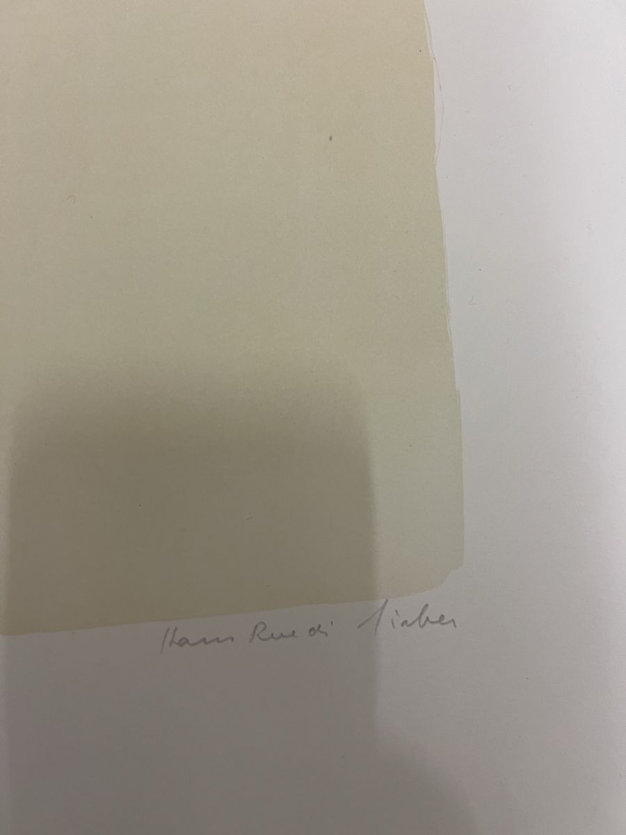 Arts picturaux & lithographies: Hans Ruedi sieber original – D'occasion à Zürich par jao_2bx7 2