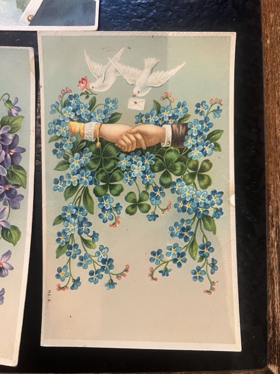 Ansichtskarten: 5 alte Ansichtskarten  Blumenmotiv Tauben antik – Gebraucht aus Laufen von Belezza 1