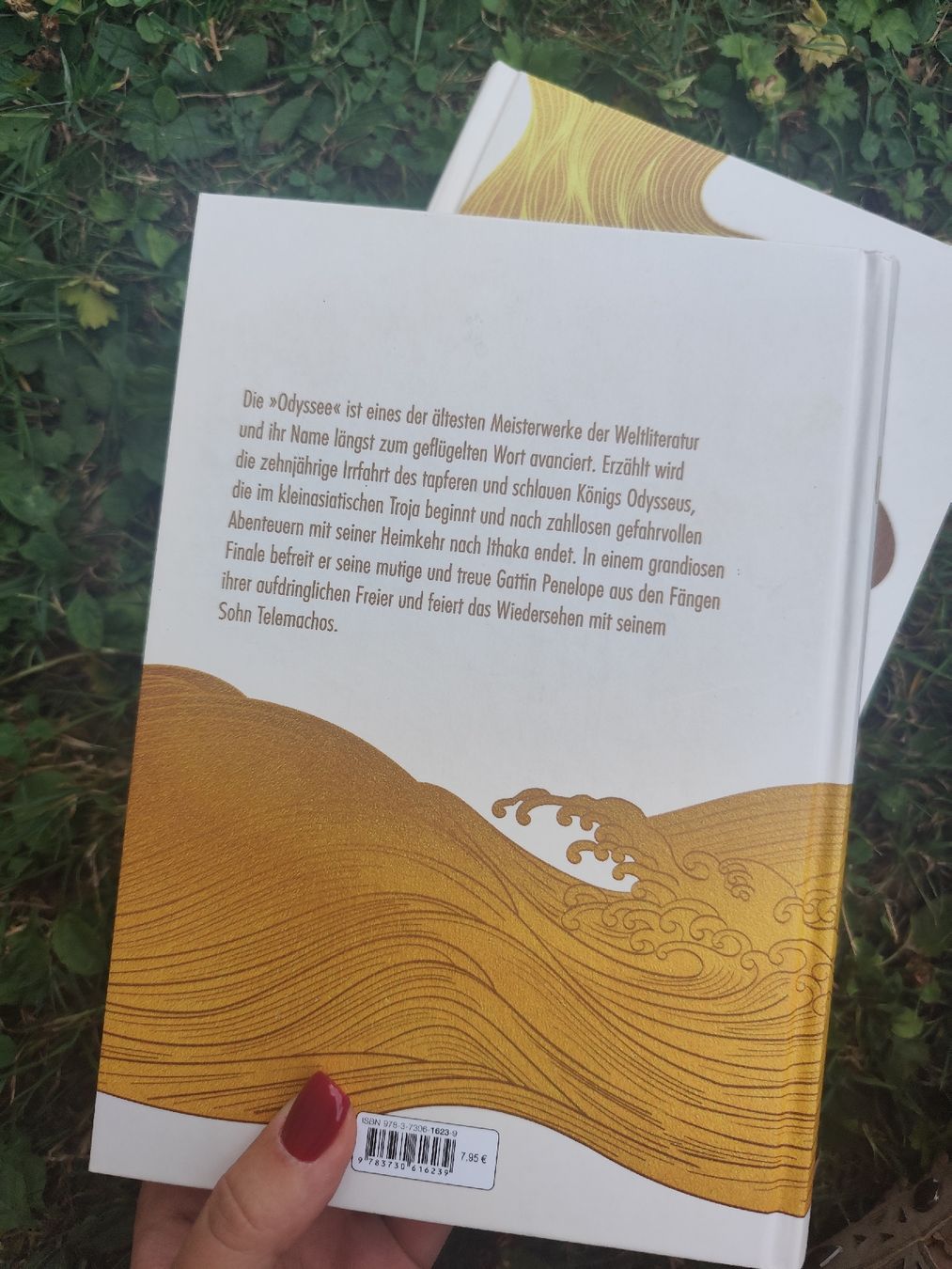 Bücher: Homer Odyssee Ilias – Gebraucht aus Mägenwil von VintageGirly 2