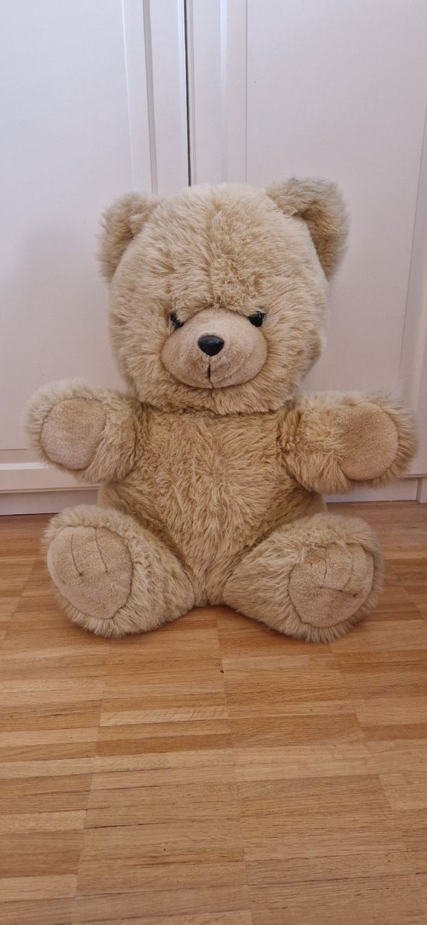 Spielzeuge: Grosser Teddybär sucht neues Zuhause – Gebraucht aus Riehen von Aconitum