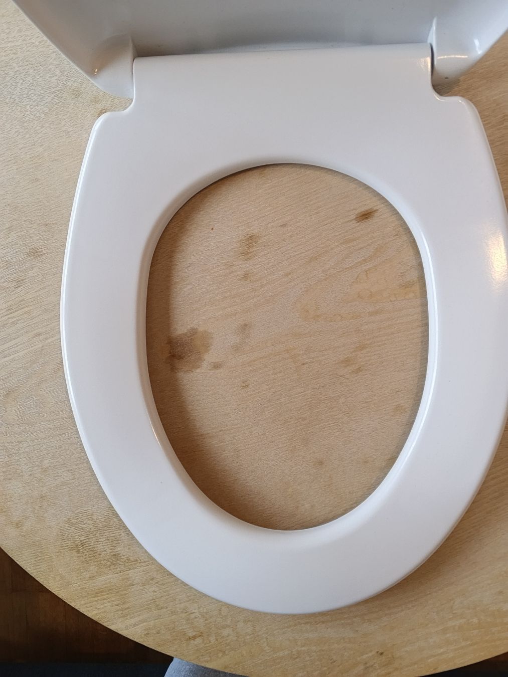 WC: Sedile WC – Neuf (Voir description) à Bellinzona par kam_2jxz 2