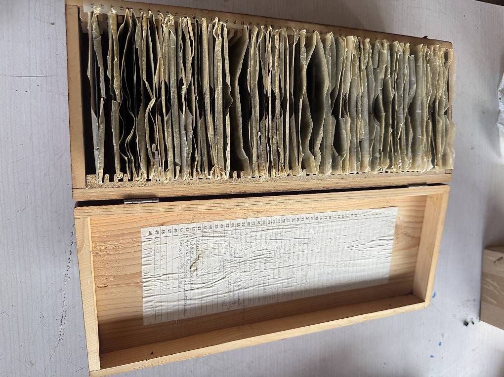 Foto & Immagini: Negative auf Glas von 1920 – Usato da Maschwanden venduto da agraf24h