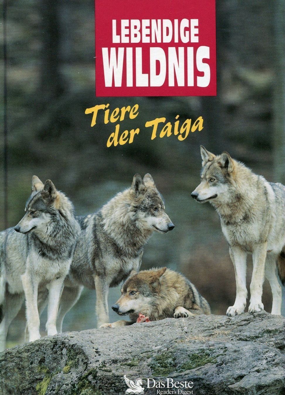 Libri: Lebendige Wildnis - 6 Bde in Top-Zustand – Usato da Röthenbach i. E. venduto da Heureka5