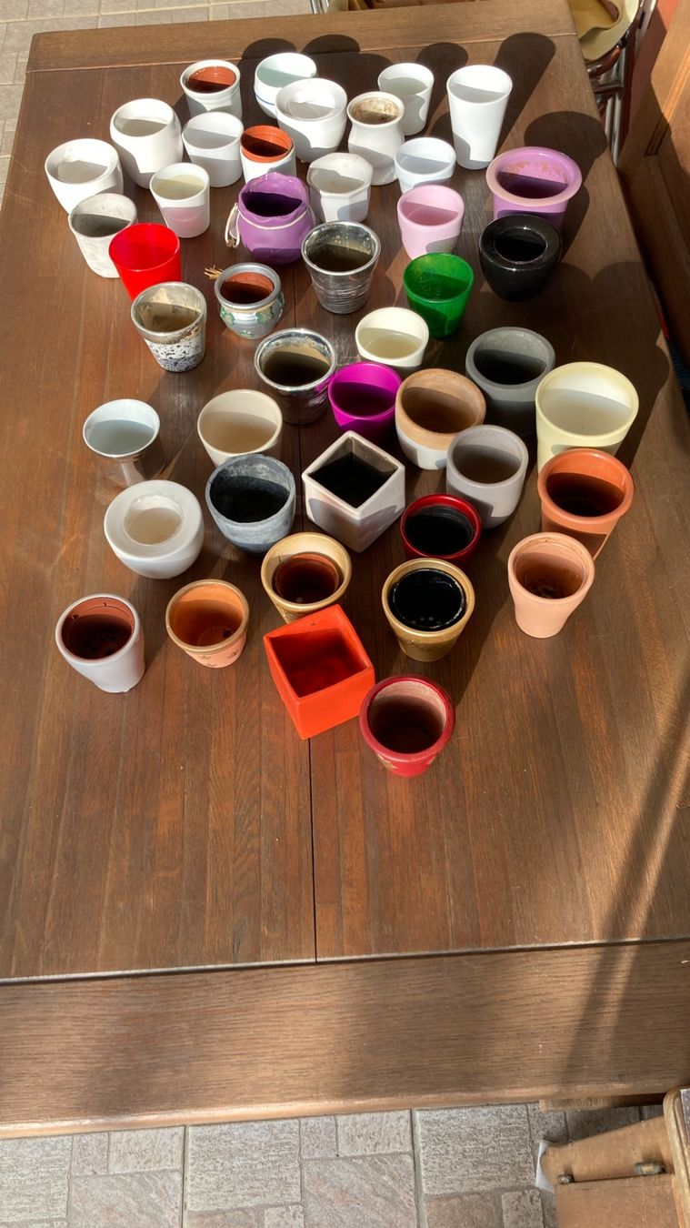 Pots de fleurs: Blumentöpfe Keramik gemischt – D'occasion à Zwingen par Hugom 2