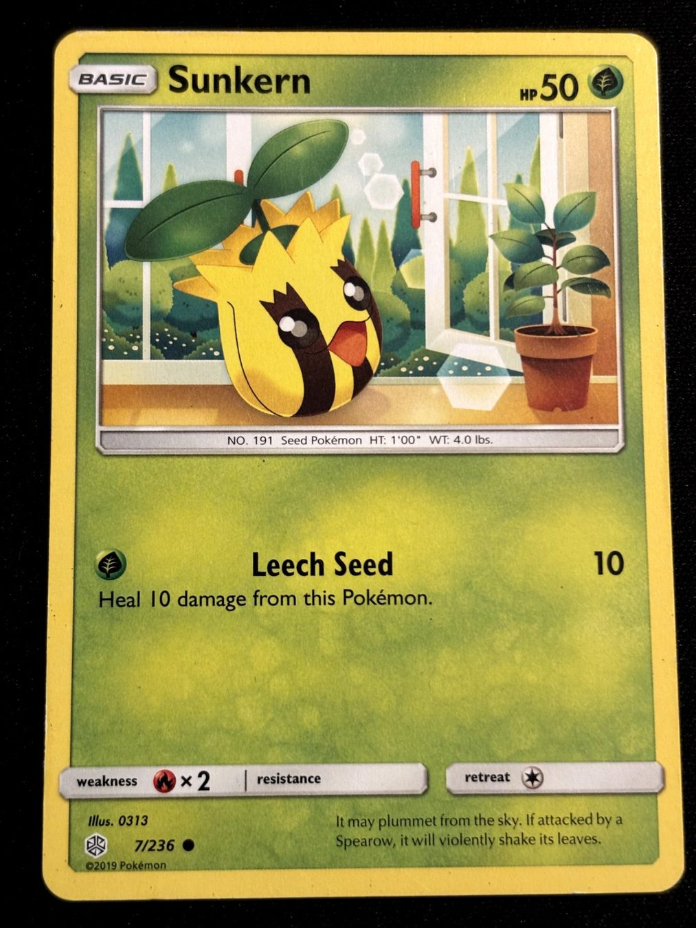 Pokémon Carte collezionabili: Pokemon Sunkern - Cosmic-Eclipse 7/236 - English – Usato da Bern venduto da Big_GS