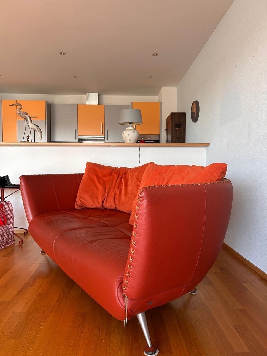 De Sede Divani: Sofa De Sede DS102 Shell rot Leder Mathias Hoffmann – Usato da Seengen venduto da murmelo 2