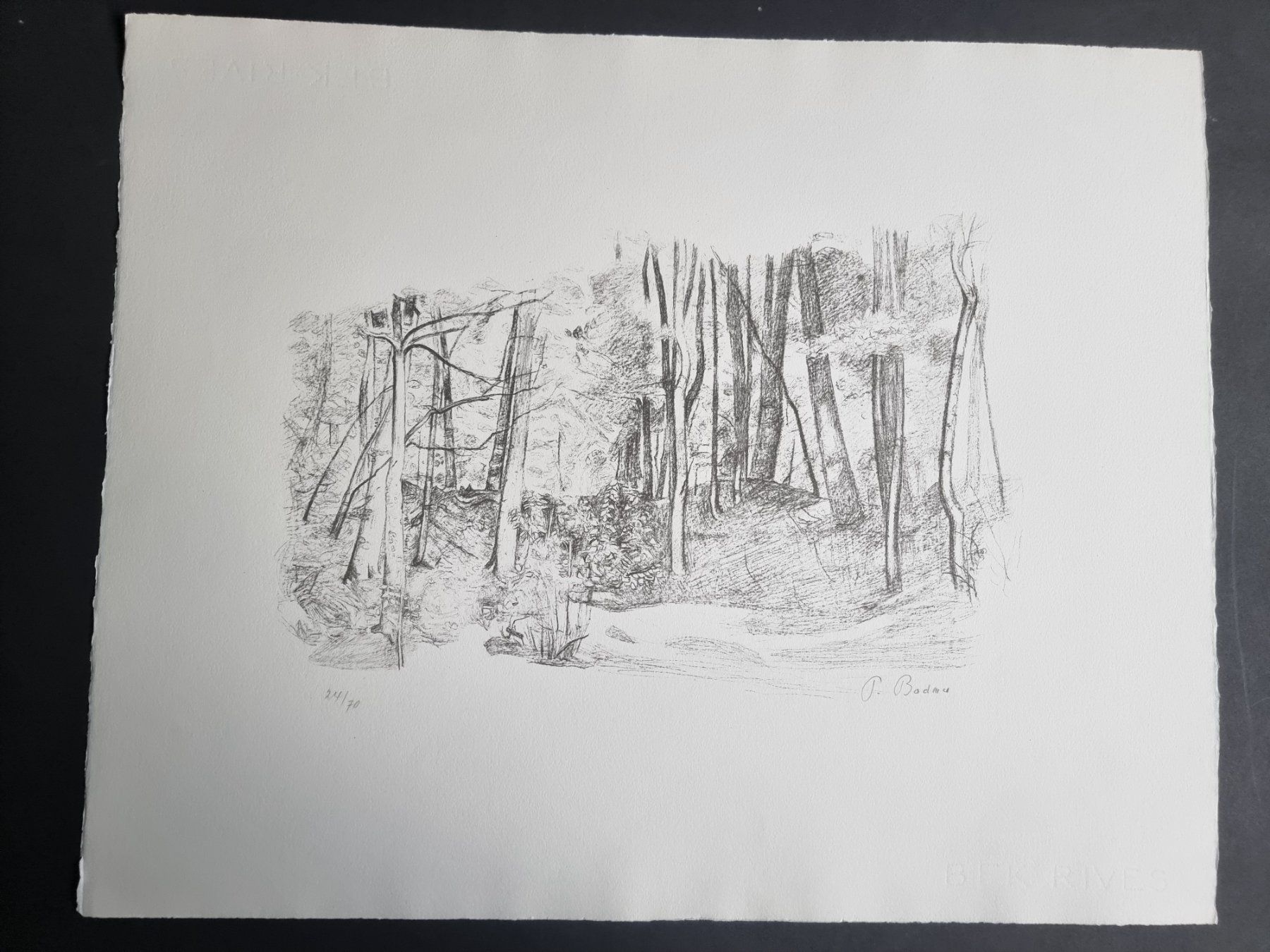 Grafica & Litografie: PAUL BODMER LITHOGRAPHIE SIGNIERT NUMMERIERT – Usato da Gersau venduto da kunst-online 3