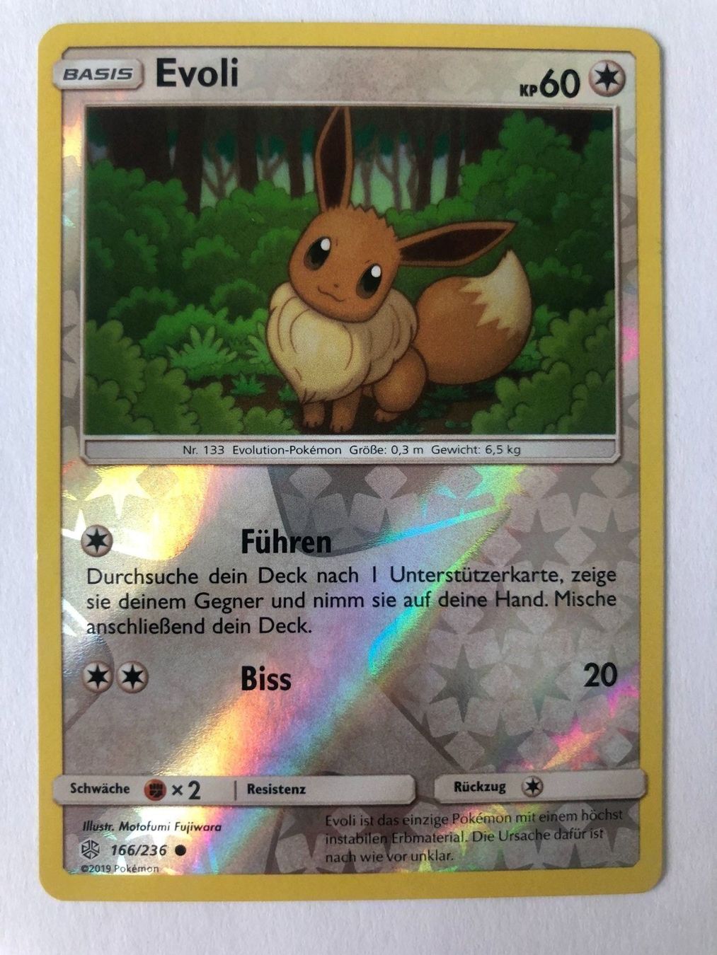 Pokémon Carte collezionabili: Evoli - Reverse Holo - TCG Pokemon – Nuovo (secondo la descrizione) da Nussbaumen AG venduto da Pika-Shop
