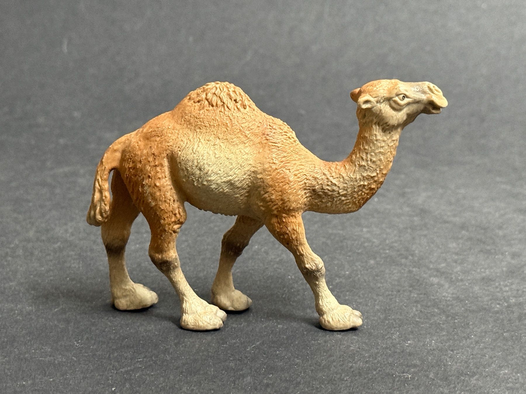 Schleich Statuette: Schleich Dromedar Stute Kamel – Usato da Ennetbaden venduto da mapa05 2