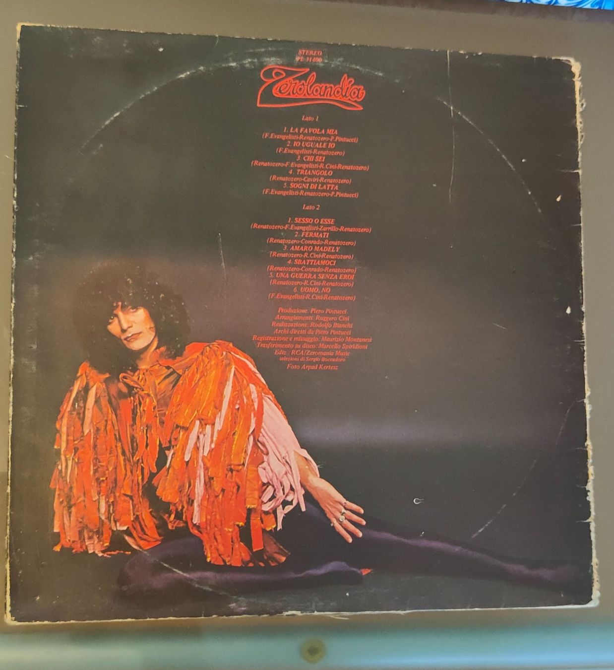 Dischi in vinile: Zerolandia - Renato Zero - LP 33 buone condizioni – Usato da Massagno venduto da Massimo037 1