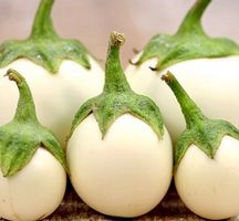 10 SAMEN WEISSE AUBERGINEN "IVORY" Aubergine Blanche RARE