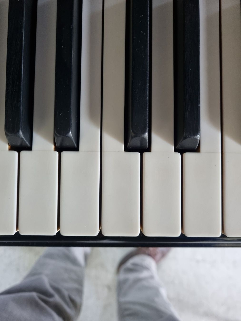 Steinway Strumenti musicali: Steinway B revidiert  1928 Boston – Usato da Winterthur venduto da hadok7 4