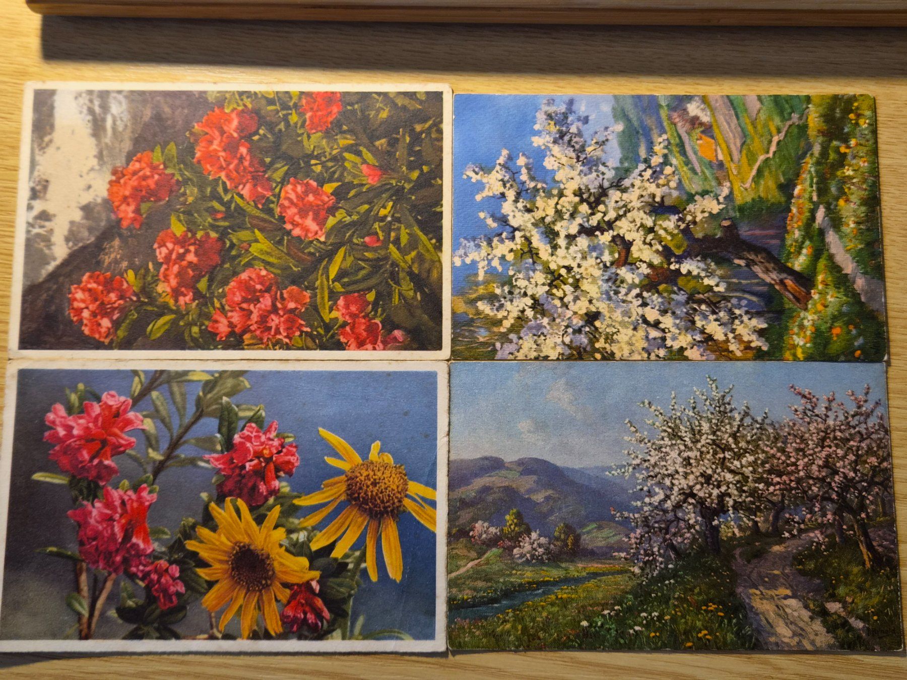 Ansichtskarten: Konvolut 8 Postkarten Blumen und Bäume – Gebraucht aus Gsteigwiler von ahae69 1