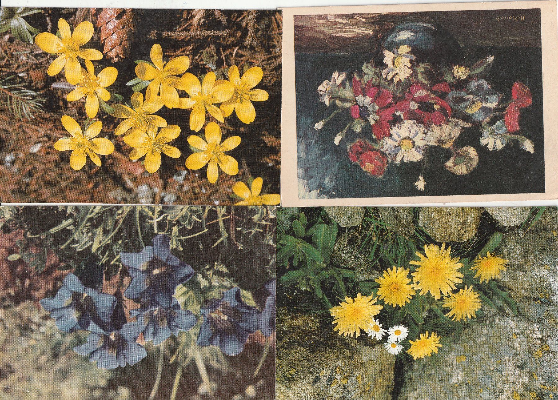 Cartes postales: 32  Blumenkarten – D'occasion à Lumbrein par made02 7