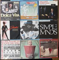 Diverse Schallplatten Sammlung, Top Hits der 80er & 90er 🎶