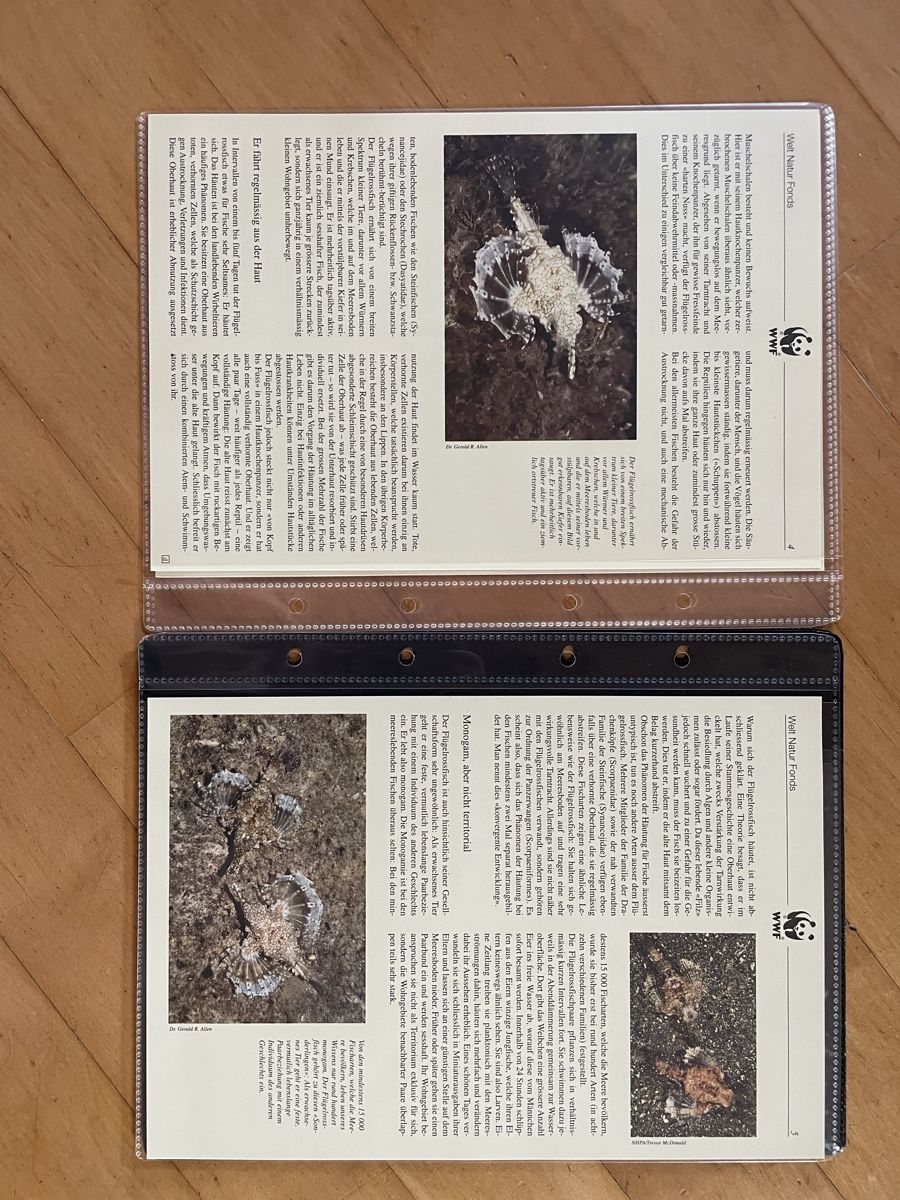 Tous les timbres: WWF Set "Der Flügelrossfisch" – D'occasion à Altdorf UR par mic_z8bj 2