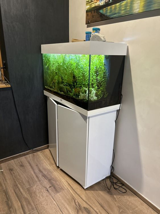 Wunderbar Aquarium Gebraucht Kaufen Ebenbild