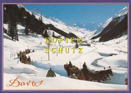 Davos - Schlittenfahrt im Dischmatal /ay