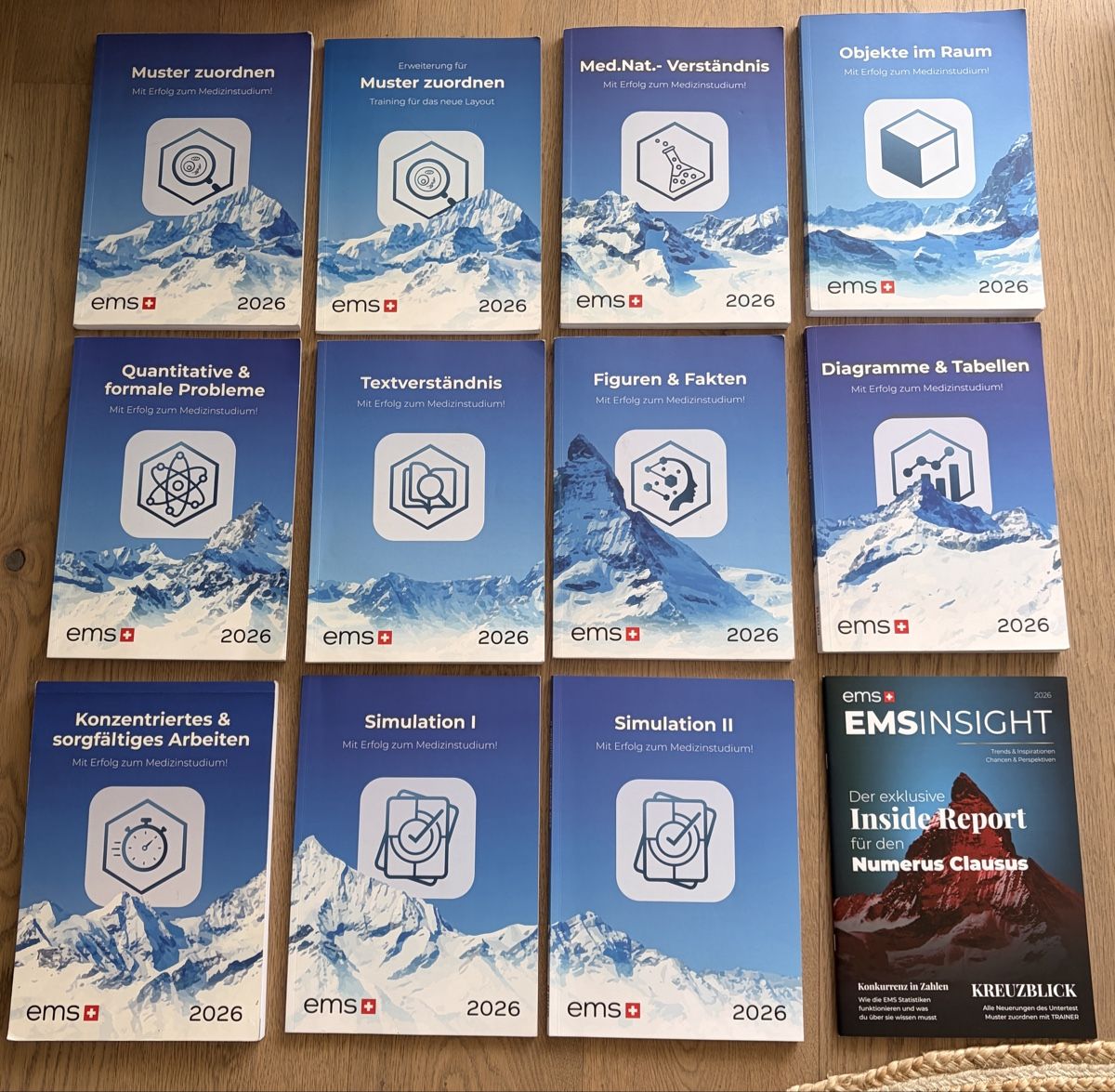 Libri: EMS Coaches Gesamtpaket 2026 – Usato da Meilen venduto da lhedi88