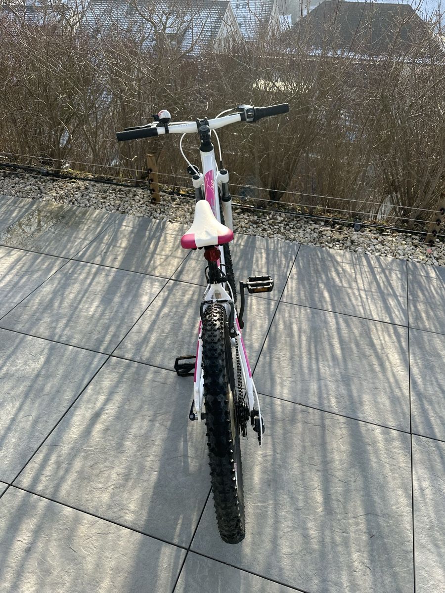e-bike damen mittelmotor SAXONETTE Quantum Sport Wave E-Bike