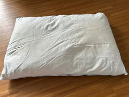 OEKO-TEX Kissen 100 % Cotton, 100 % Entenfedern (Oreiller)