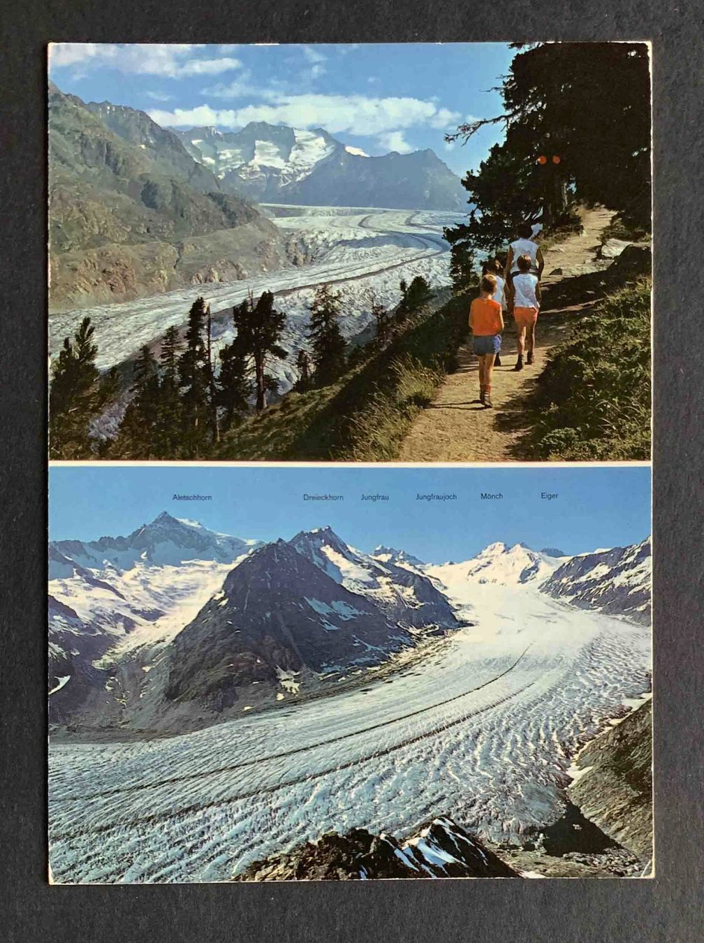 Cartoline postali: AK Grosser Aletschgletscher Blick vom Eggishorn – Usato da Goldau venduto da artelier1