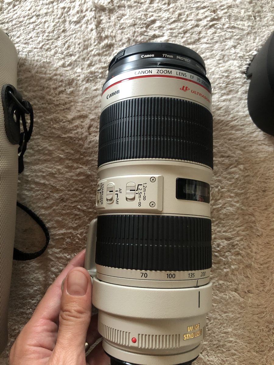 Canon Kamera: Canon gear  – Gebraucht aus Rapperswil SG von mad_n65g 6